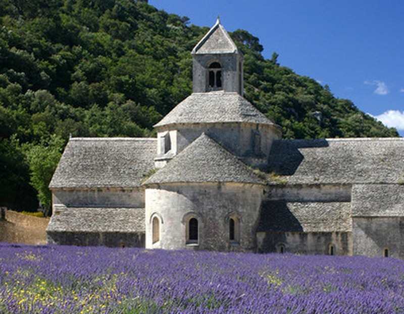Provence - the home of lavender farming...