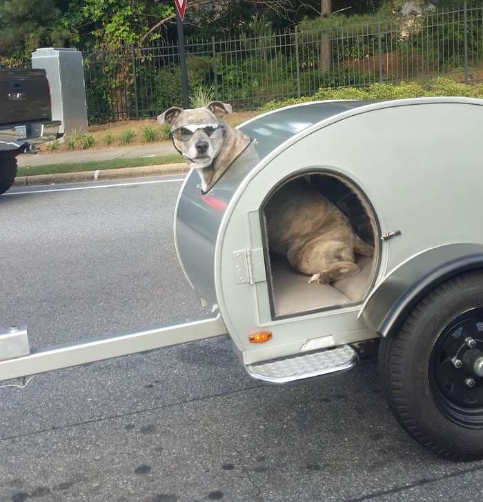 Pet Trailer