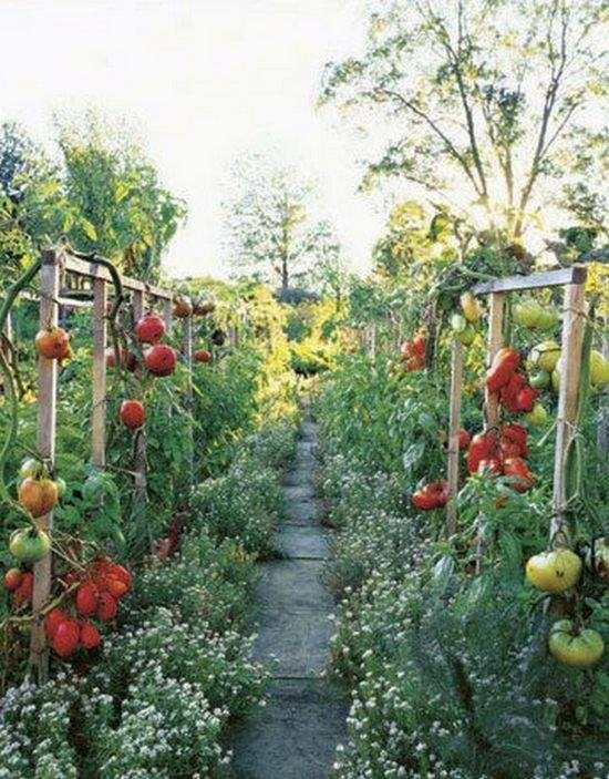 We love garden paths! Here's one where you can snack as you walk...