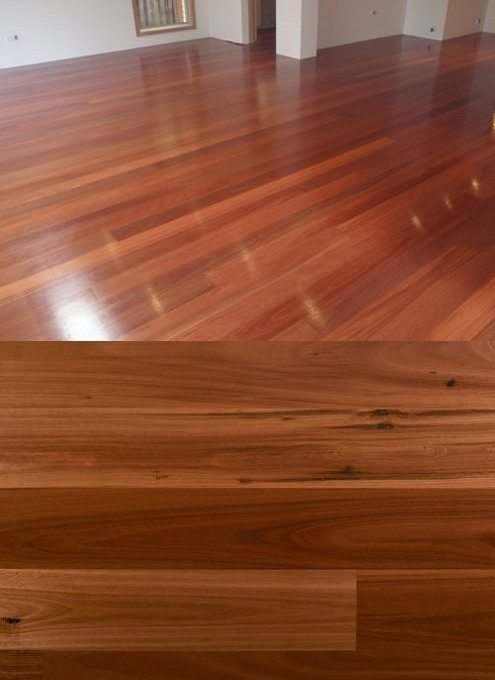 Blue Gum flooring