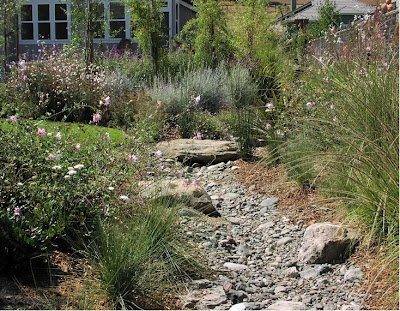 A low maintenance cottage garden. The effect is as good as a traditional cottage garden without the water needs.