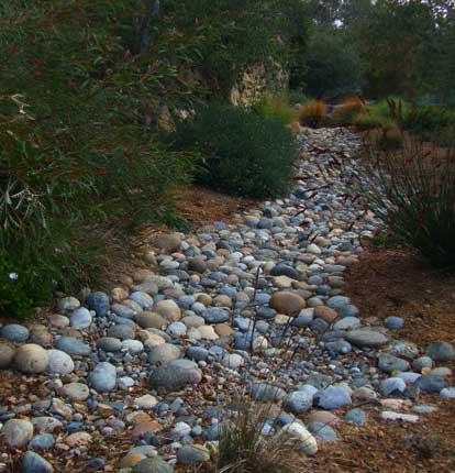 A dry creek bed complete with Australian natives. This is almost "no maintenance" gardening.