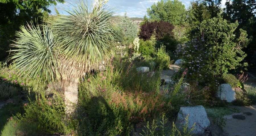 Dry Creek Garden Company