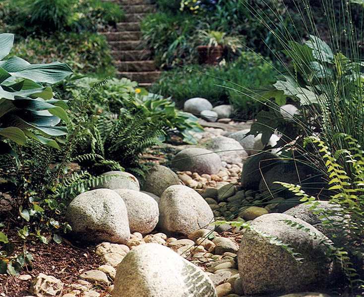 Dry Creek Bed Gardens