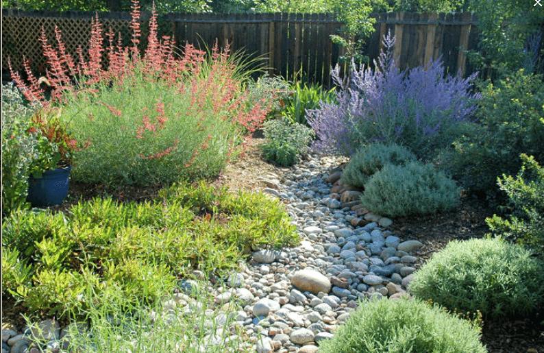 Colorado Springs Xeriscape Garden