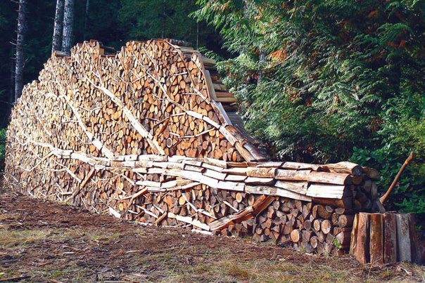 Is it a fence, a wood pile, a piece of art or a poignant protest?