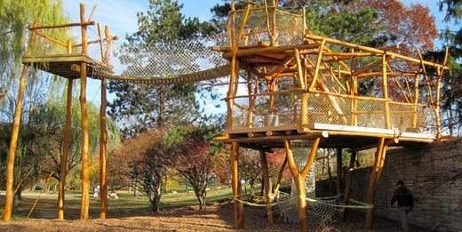 Whole-Tree-Architecture-10