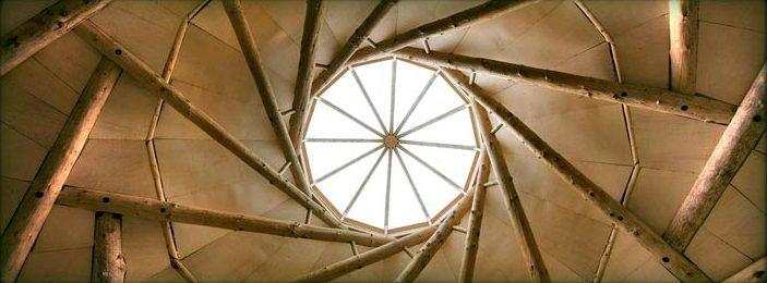 Whole-Tree-Architecture-22