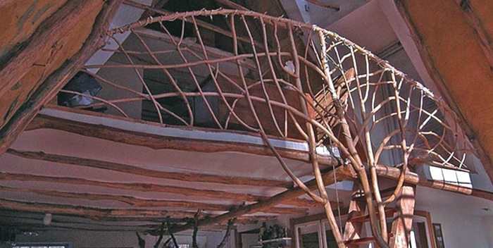 Whole-Tree-Architecture-5