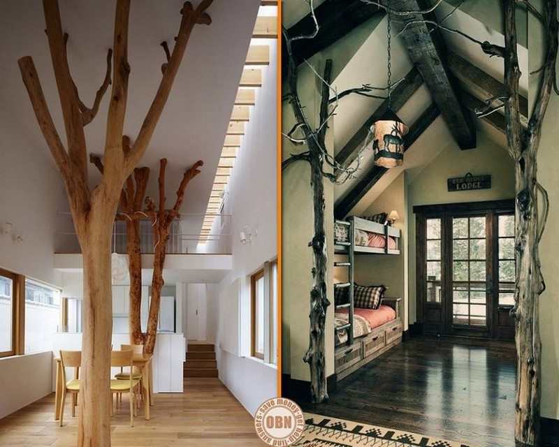 They both have elements of whole tree architecture but with quite a different feel.