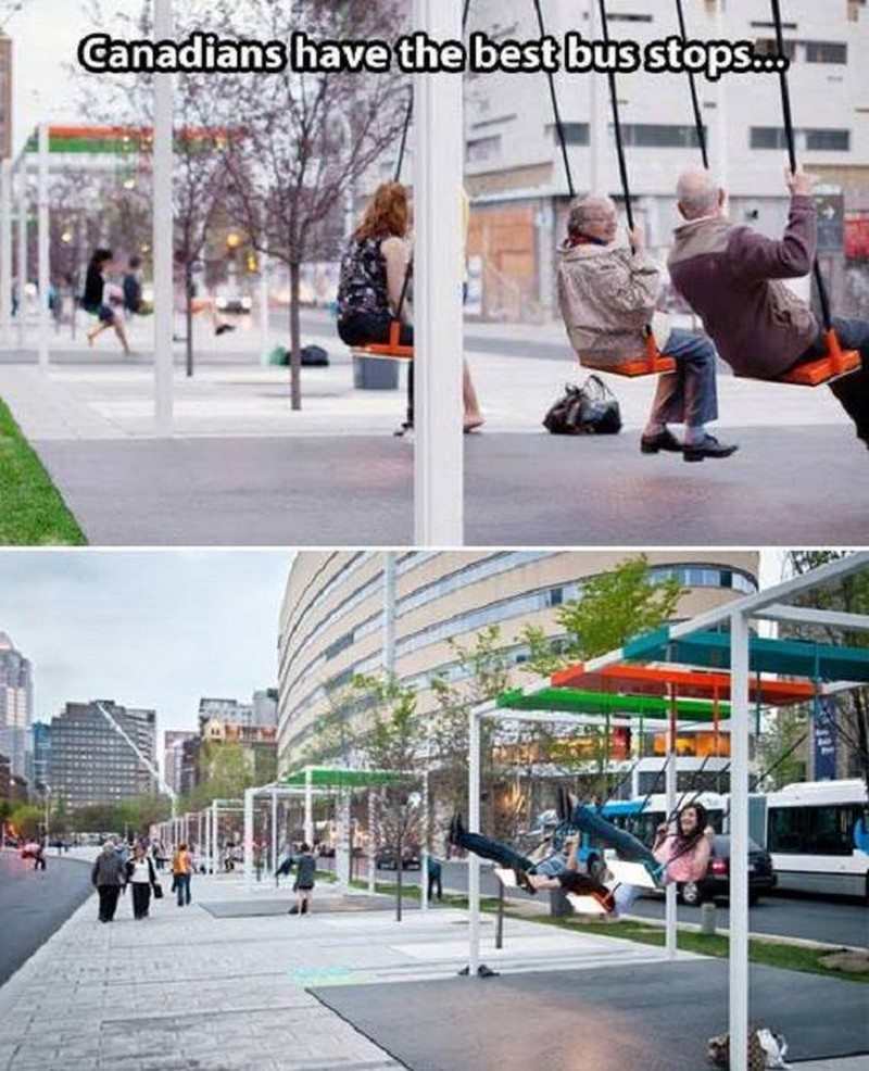 I came across this image via a bizarre route. Is it true? Can you really swing while waiting for the bus in Canada?