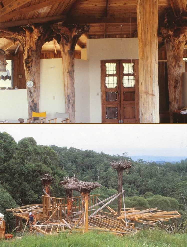 When architect Russell Hall had to remove four substantial trees for the house pad, he just turned them upside down and used them to support the roof :)
