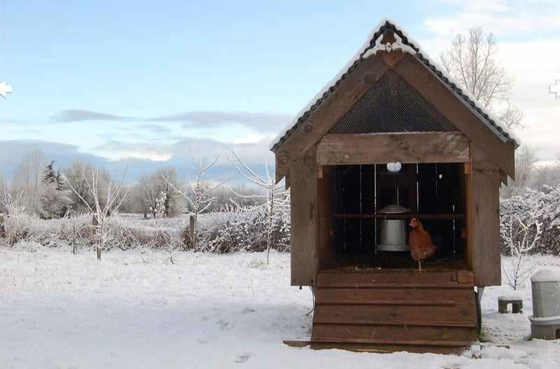 Tiny House - Jessica Helgerson