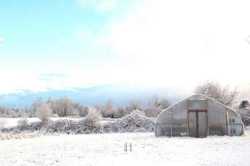 Tiny House - Jessica Helgerson