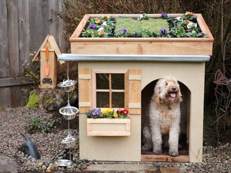 Hey look! I've got a green roof too!  FAIL or WIN? Let us know in the comments section.