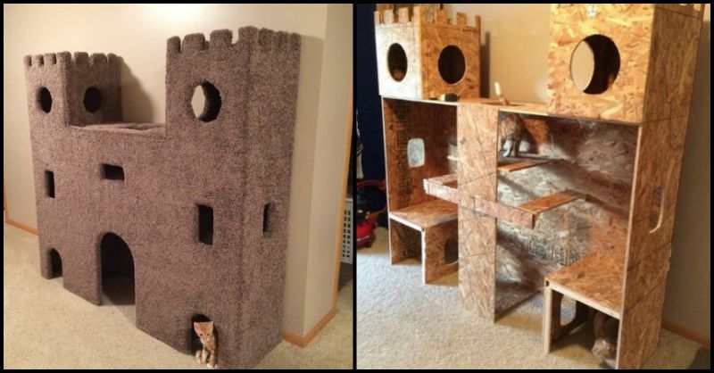 Cat Castle