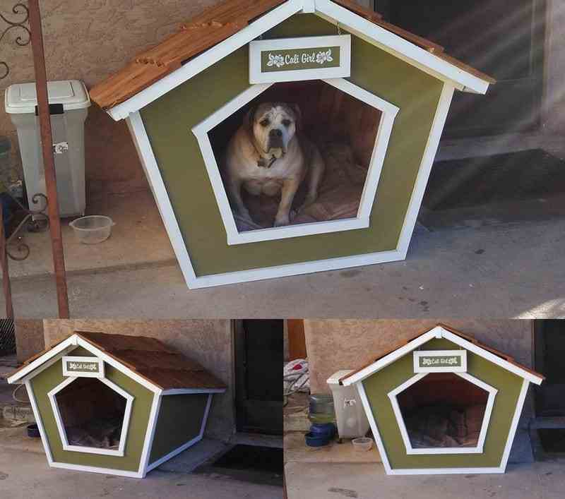 Fan @Jeremy Stearns sent these images of his recent project. Don't be fooled by the expression on Cali's face. She always looks a little lost :) Thanks for sharing Jeremy (and Cali).