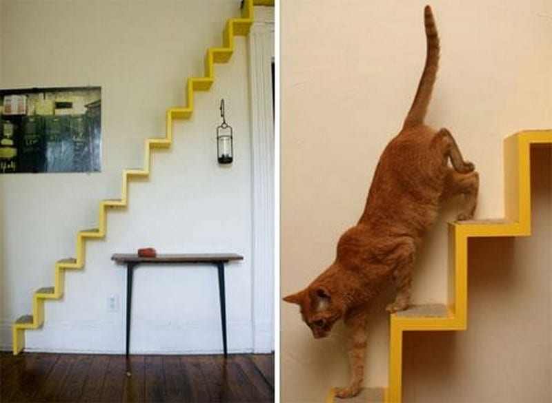 Here's another great idea to keep our indoor cats busy.  This