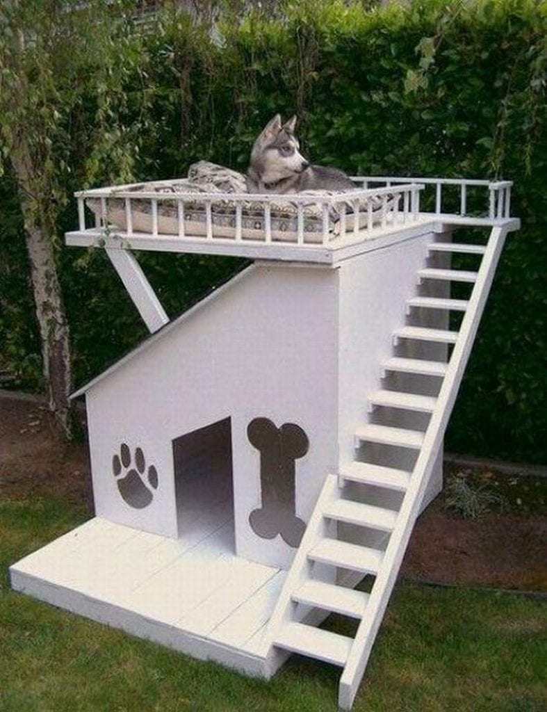 One of our dogs favourite places to sleep is on our outdoor furniture.  I'm wondering whether this dog kennel with viewing platform might be more to their liking. My biggest concern is that the kids and the dogs would fight over it :-)  Would your pampered pooch (or child) like one?
