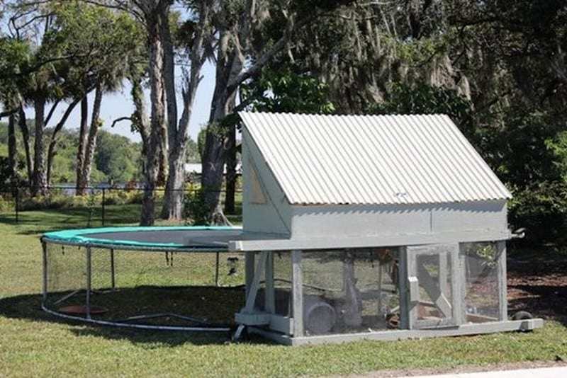 A great conversion of a trampoline to a chicken coop - note the wheels on the wooden structure so it can be moved.