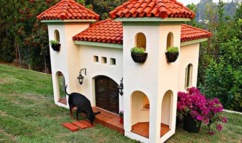 Dog Mansion