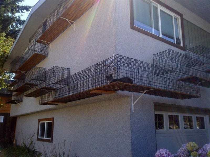 Now THIS is a cat run! Given the feral cat challenge here in Australia - and undoubtedly, many other countries, I have enormous respect for the owner. As the saying goes, 'if you can't look after your pet, don't get one!'