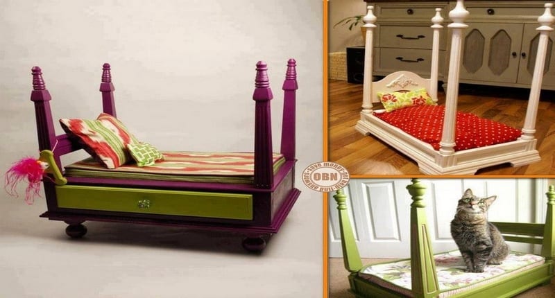 Turn an old table upside down, paint it, add some cushion, and you have yourself a pet bed for your pampered feline or pooch.