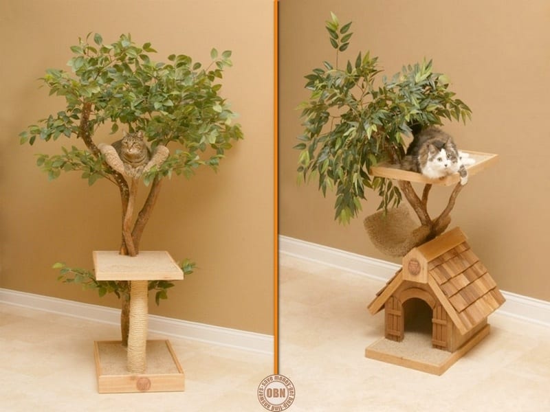 Cats do like to climb trees, but if yours is an indoor cat, this might be the perfect compromise. Thoughts?