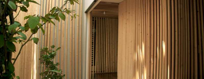 Gather - strengthened and beautified by 2.8 kilometres of 2x4's