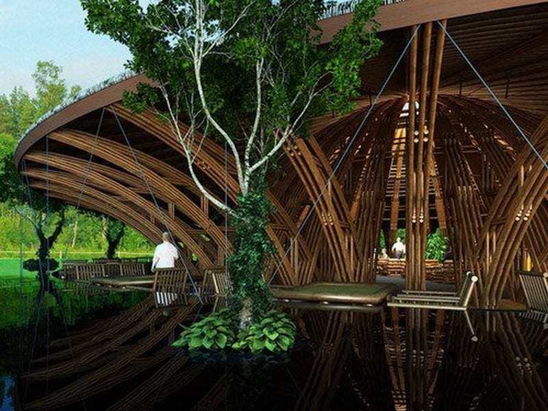 Here's another spectacular creation by Simon Velez. In his wonderful book, Grow You Own House, he shows how nature - things like spider webs, helps him design these buildings. 