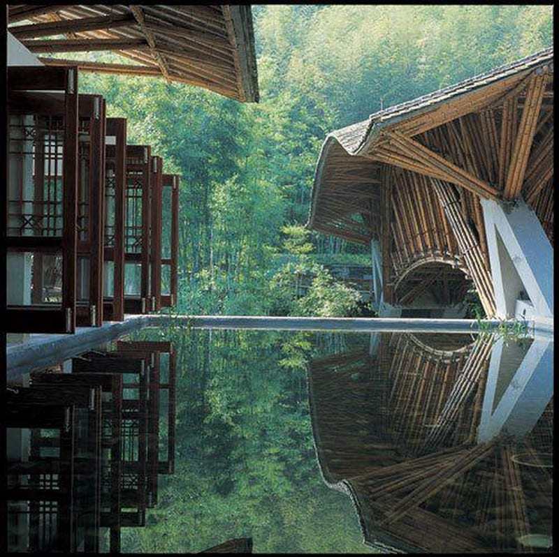 Anyone who's been here for a while, knows that we are bamboo crazy. We even grow more than 20 varieties!   Look at this image and fall in love the same way that we did 10 years ago. 