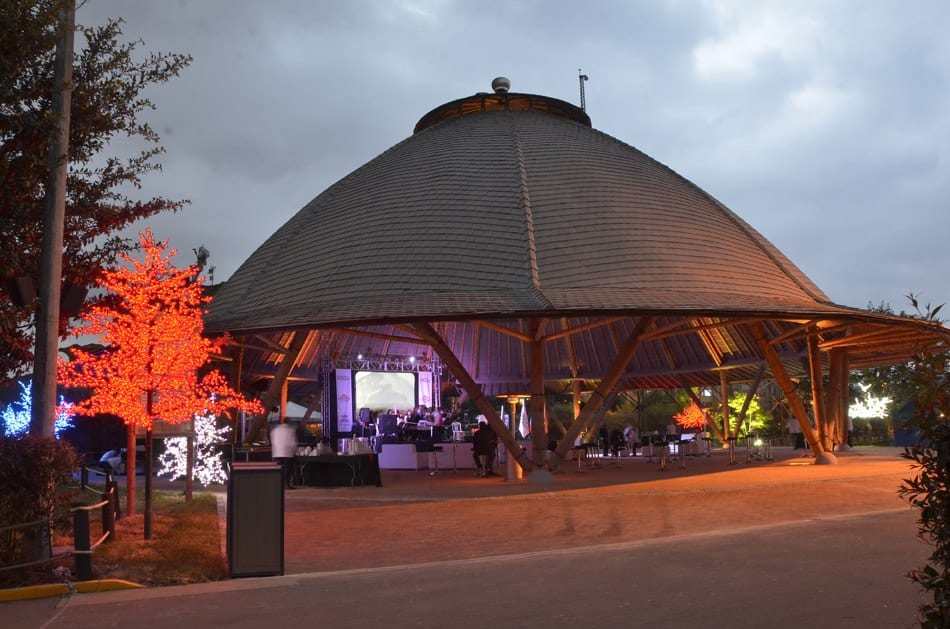 A bar by Simon Velez