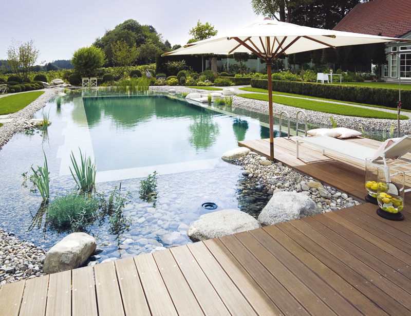 Here's a great example of a conventional pool turned into a natural swimming pond. They offer a much lower maintenance alternative to conventional pools and allow you to swim in clean, chemical free water.