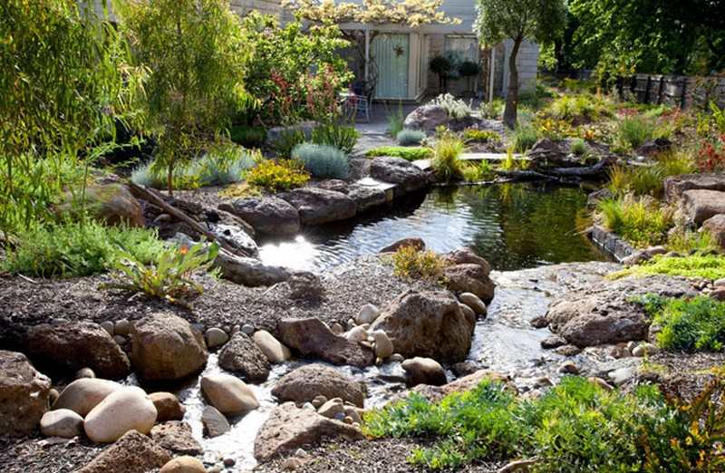 Natural Swimming Pond