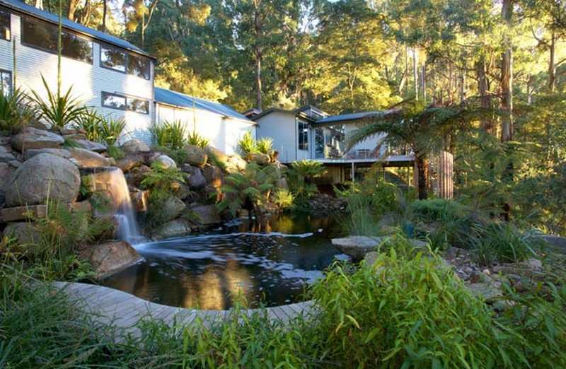 Natural Swimming Pond