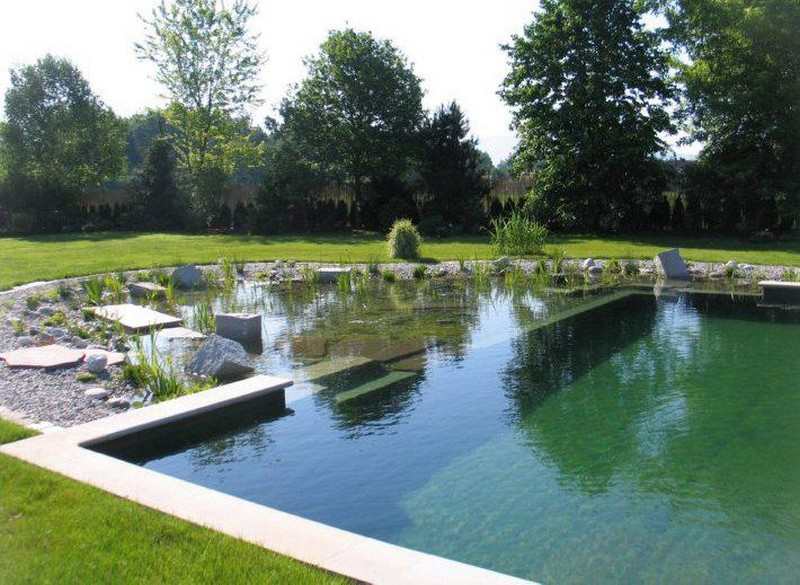 Natural Swimming Pond