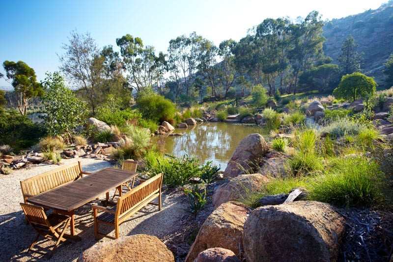 Natural Swimming Pond