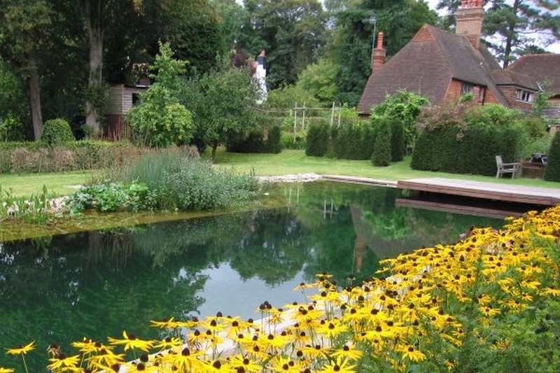 Natural Swimming Pond