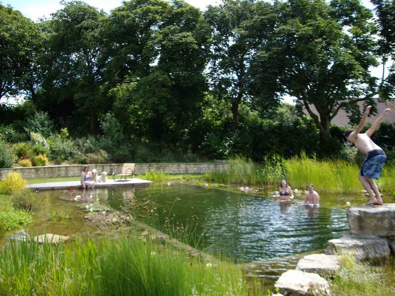 Natural Swimming Pond