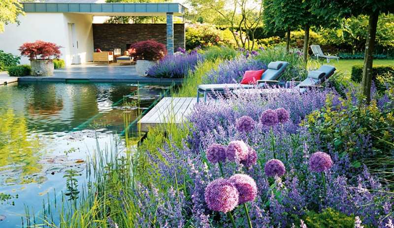 Natural Swimming Pond