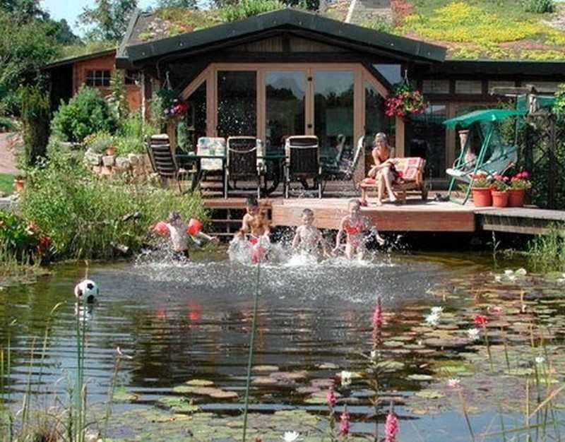 Natural Swimming Pond