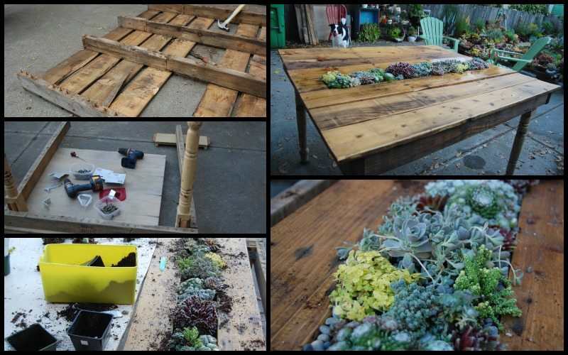 Succulent Table from Old Pallets and Table Legs