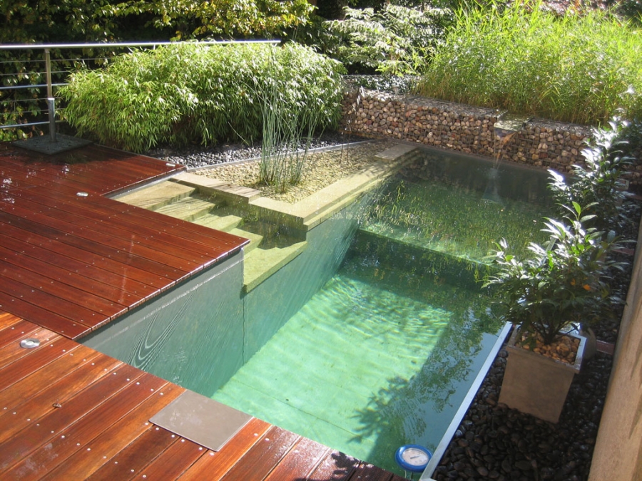 Another pool converted to a swimming pond! It’s beautiful and it's kind to the body AND the environment.