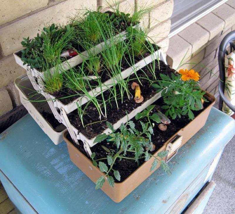 Tackle Box Planter - Makezine