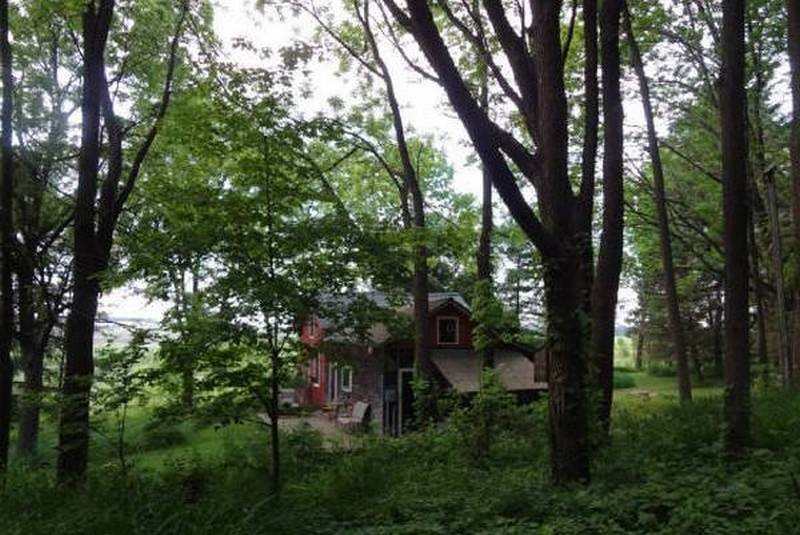 Love at first sight...