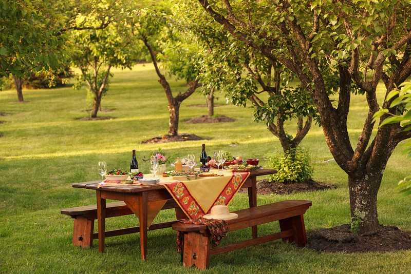 Orchard Dining