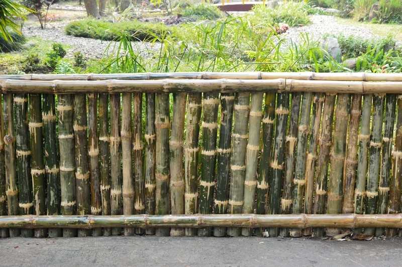 Bamboo Fence Design