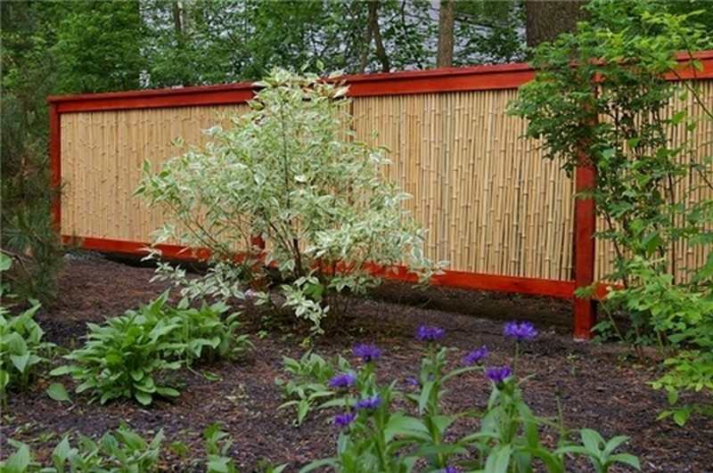 Bamboo Rolled Fencing - Landscaping Network