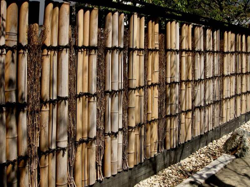 Bamboo Fence