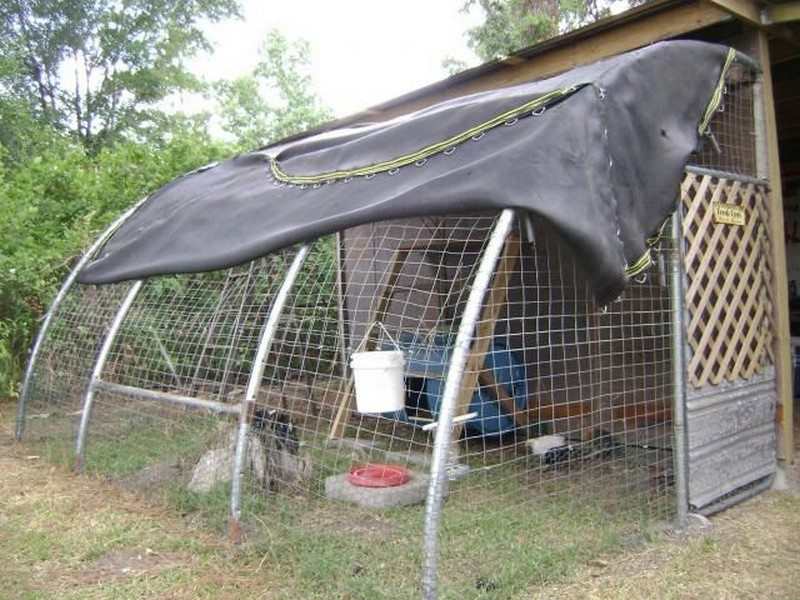 Trampoline Chicken Coop